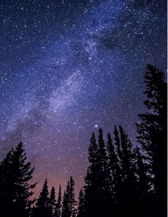 Speck Funeral Home - Thomas Christopher Lowe Obituary